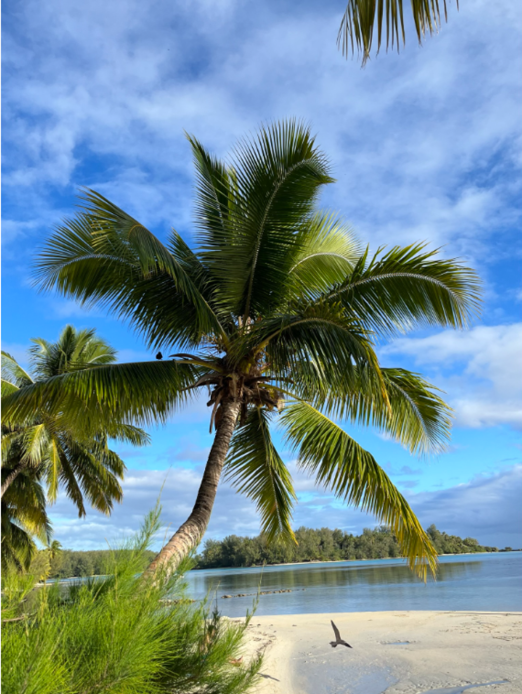 La Polynésie vue par Carole Peglion